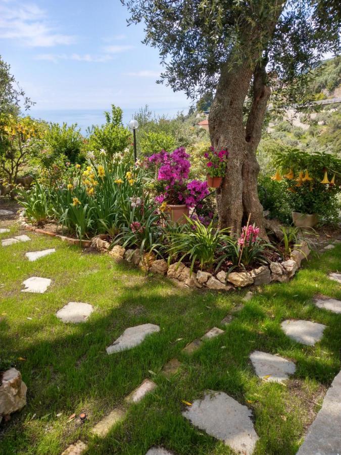 Villino Brunetto Azienda Agrituristica Camogli Ngoại thất bức ảnh