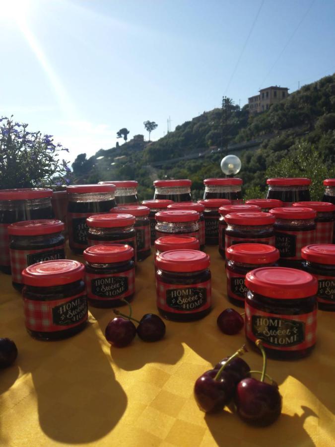 Villino Brunetto Azienda Agrituristica Camogli Ngoại thất bức ảnh
