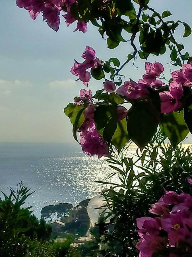 Villino Brunetto Azienda Agrituristica Camogli Ngoại thất bức ảnh